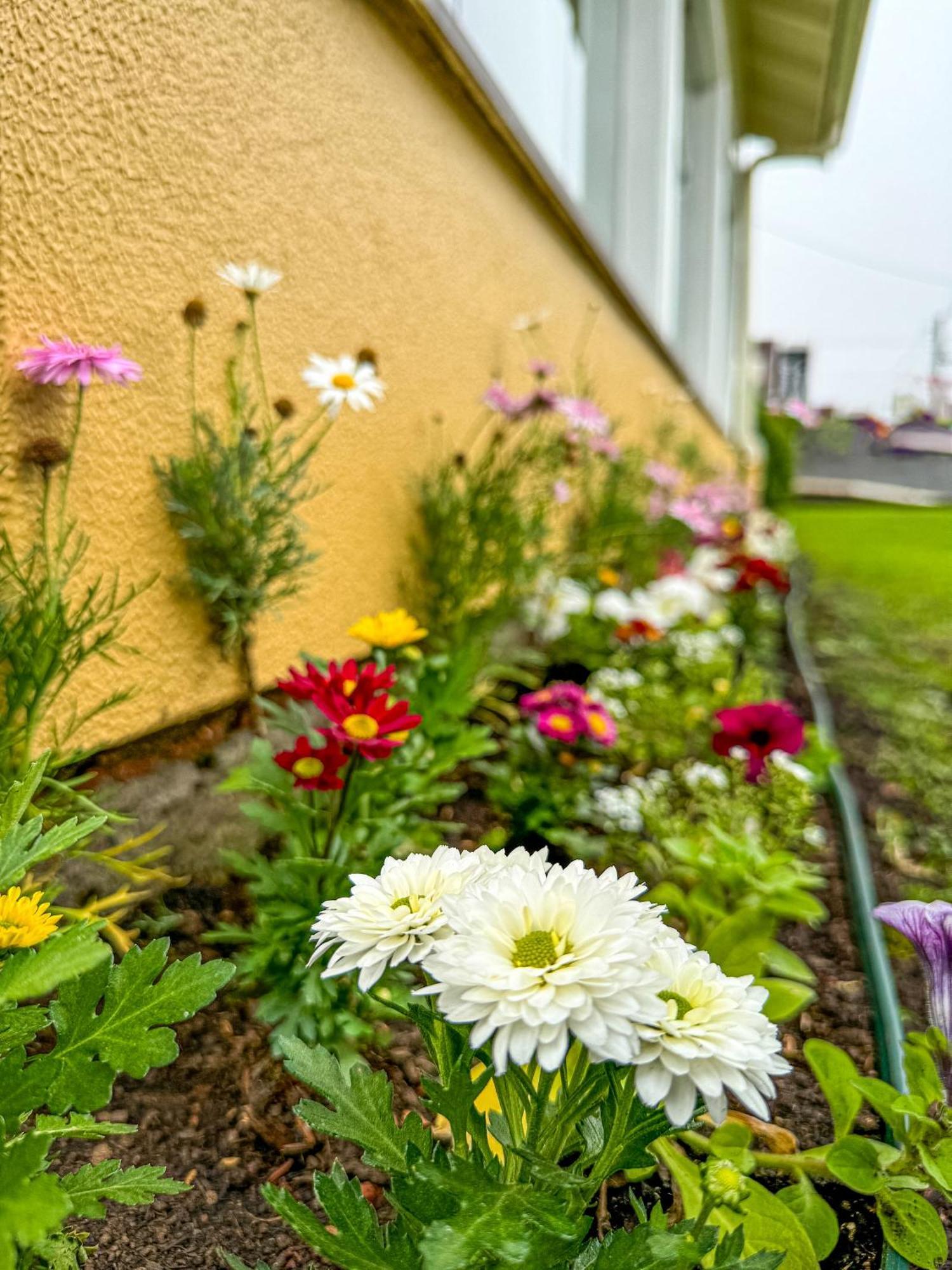 Estalagem Serra Valle 3*